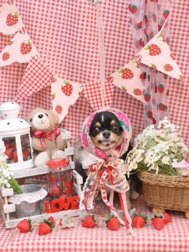 20260320天ちゃん