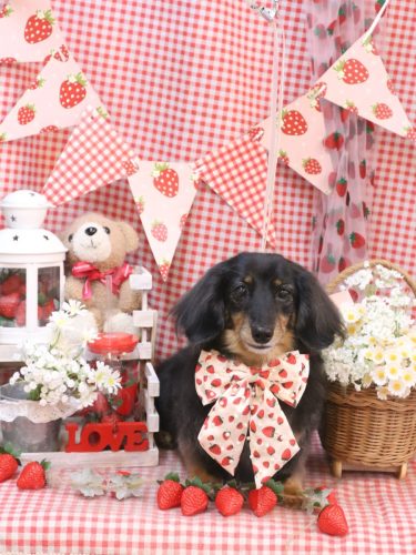 20260320モカちゃん