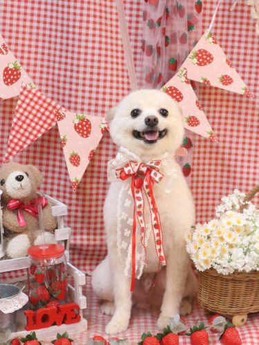 20260320しゅんくん