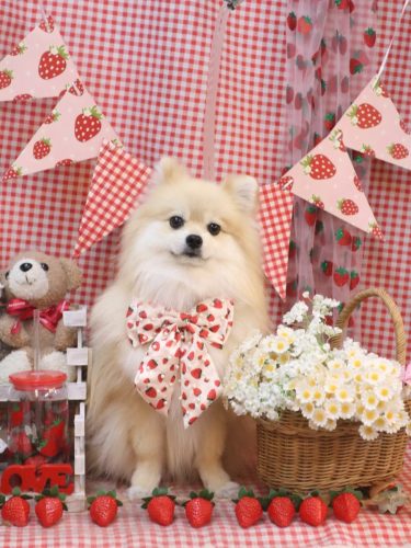 20260320なちゅくん