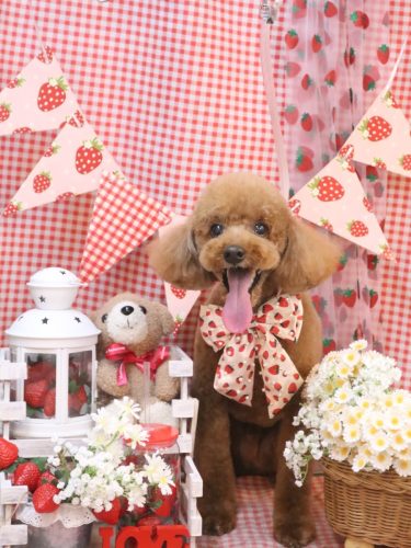 20260321ジェイくん