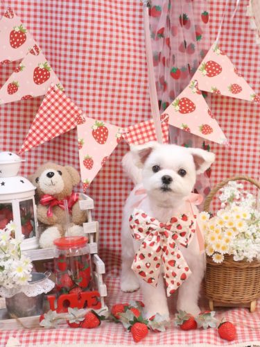 20260321まるちゃん