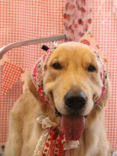 20260321タックくん