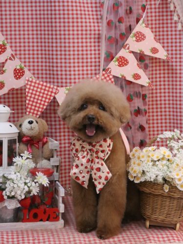 20260322カイくん