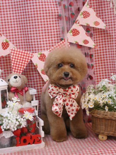 20260322ソラくん