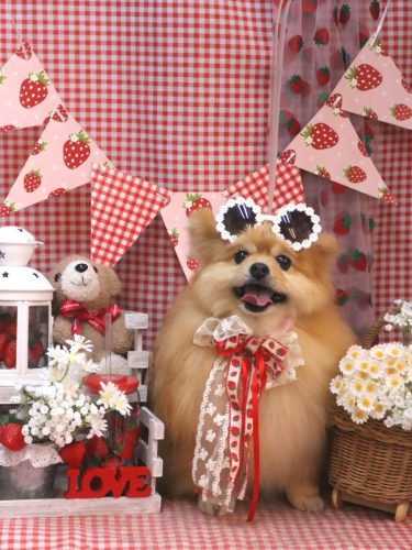 20260322梛都ちゃん