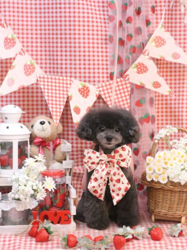 20260324NEROちゃん