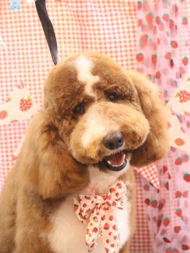 20260324アムくん