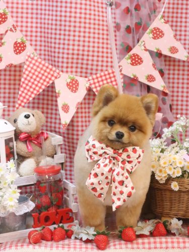 20260324リアンちゃん