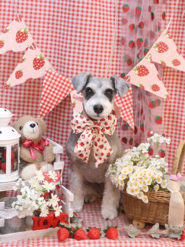 20260324ふたばちゃん