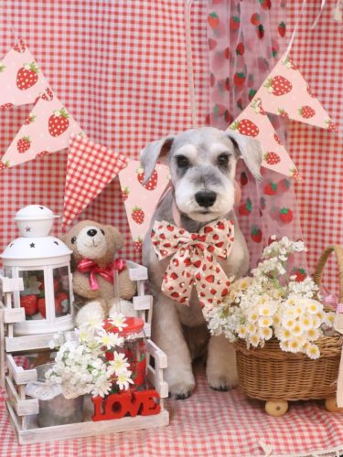 20260324りくくん