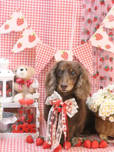 20260324ジョナくん