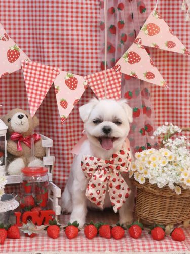 20260324マルちゃん