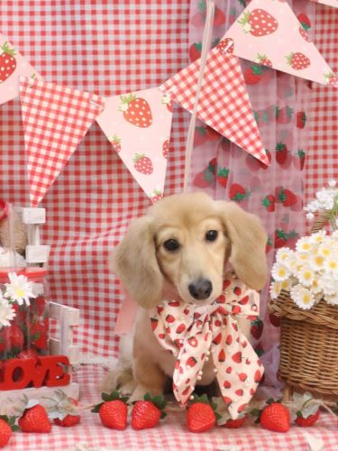 20260324レオくん