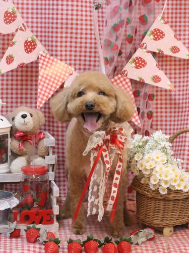 20260325サンくん