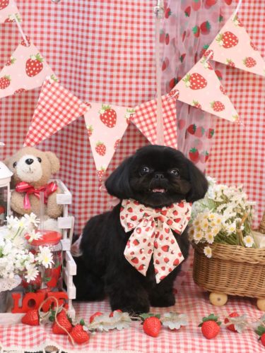 20260325つむぎちゃん