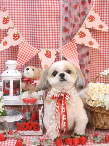 20260325カンタくん