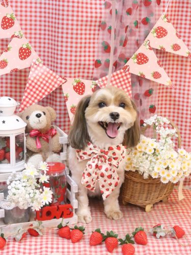 20260325メイちゃん