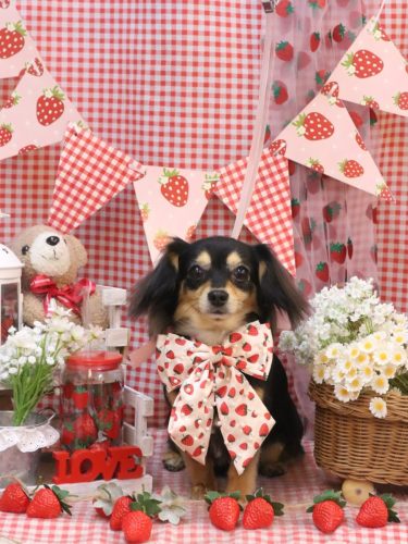 20260326叶空ちゃん