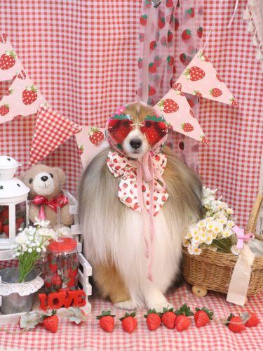 20260326ノアくん