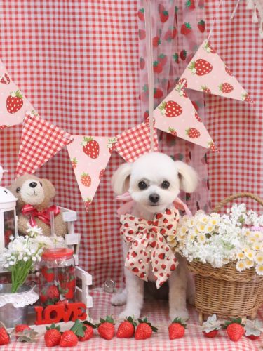 20260327小雪ちゃん