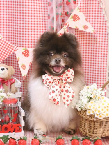 20260327太郎くん