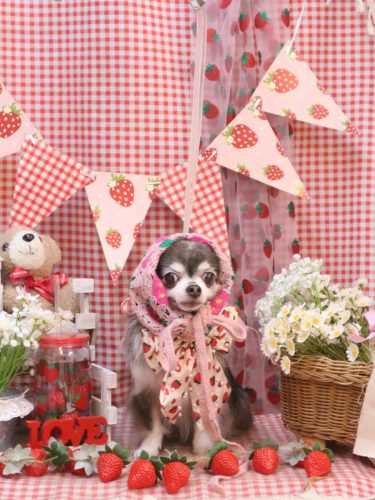 20260327空太くん