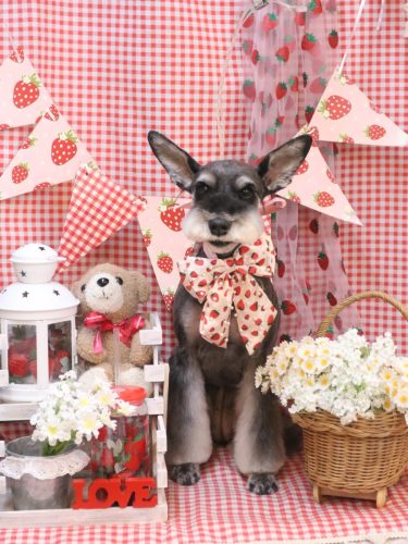 20260328ニーナちゃん