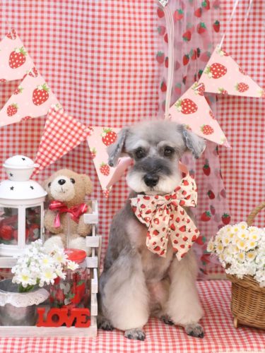 20260328ラーラちゃん