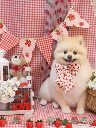 20260328むぎちゃん