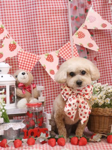 20260328コウくん