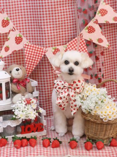 20260328うみちゃん