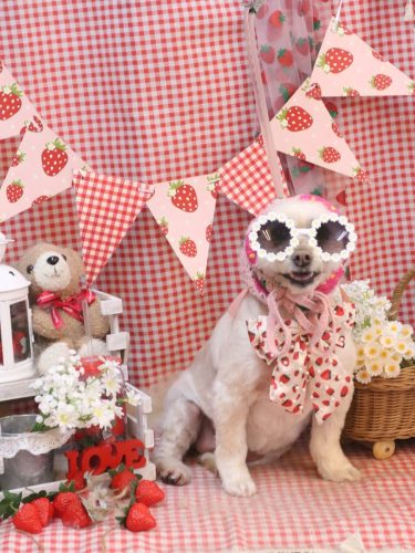 20260328ポンタくん