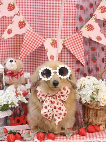 20260329モカちゃん