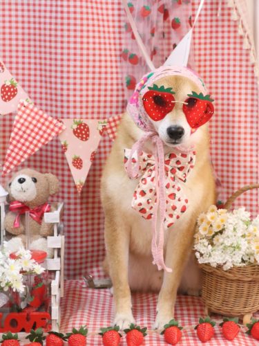 20260329シュウくん