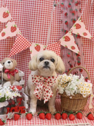 20260331モカちゃん