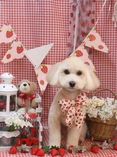 20260331ソラくん