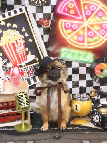 20260401むぎちゃん