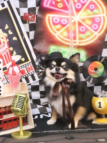 20260401ボスくん