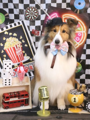 20260401ティーラちゃん