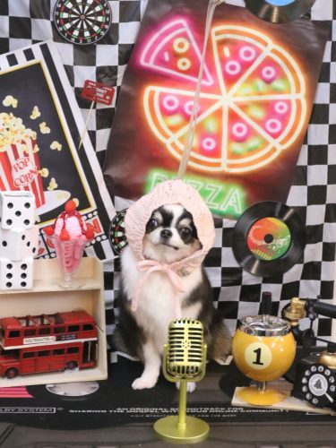 20260401はなまるちゃん