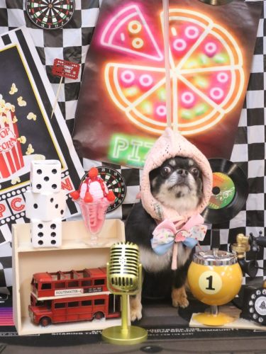 20260401らんまるちゃん