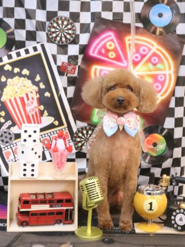 20260401かぐらちゃん