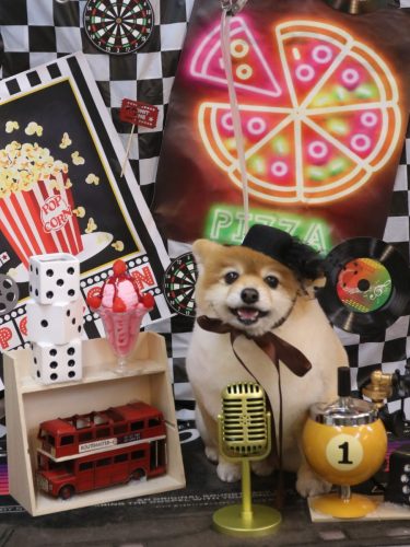 20260402むぎちゃん