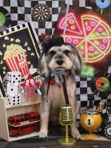 20260402パピコくん