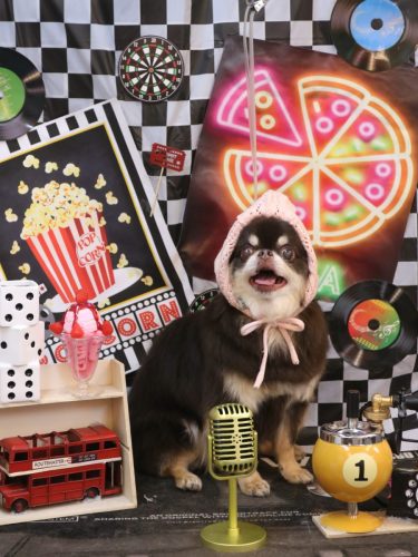 20260402フェルくん