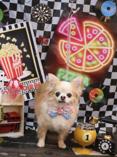 20260402ヴィヴィちゃん