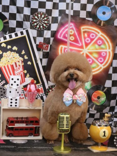 20260402ピノくん