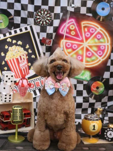 20260402くぅくん