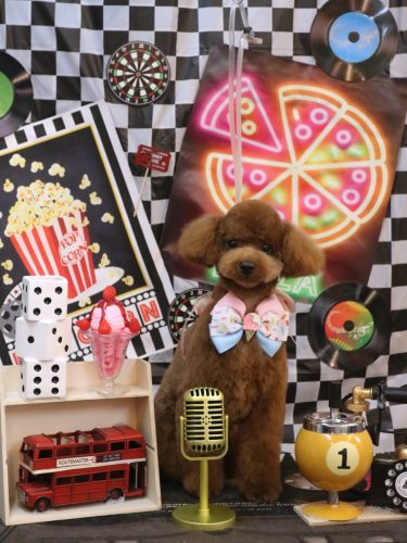 20260402アニーちゃん